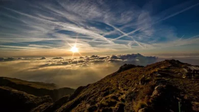 Hustenstiller-Hausmittel-Natuerliche-Wege-zur-Linderung