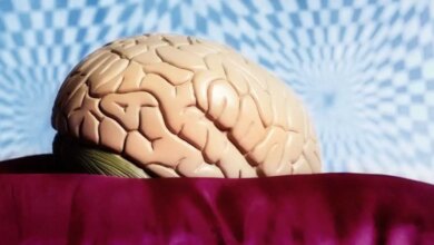 LSD-und-die-Foerderung-der-Hirnplastizitaet-Neue-Perspektiven-fuer-die