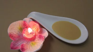 Lecithin-und-seine-Vorteile-fuer-die-Leber