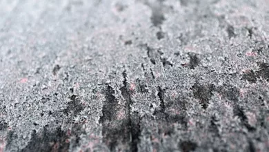 Heiserkeit-Hausmittel-Natuerliche-Linderung