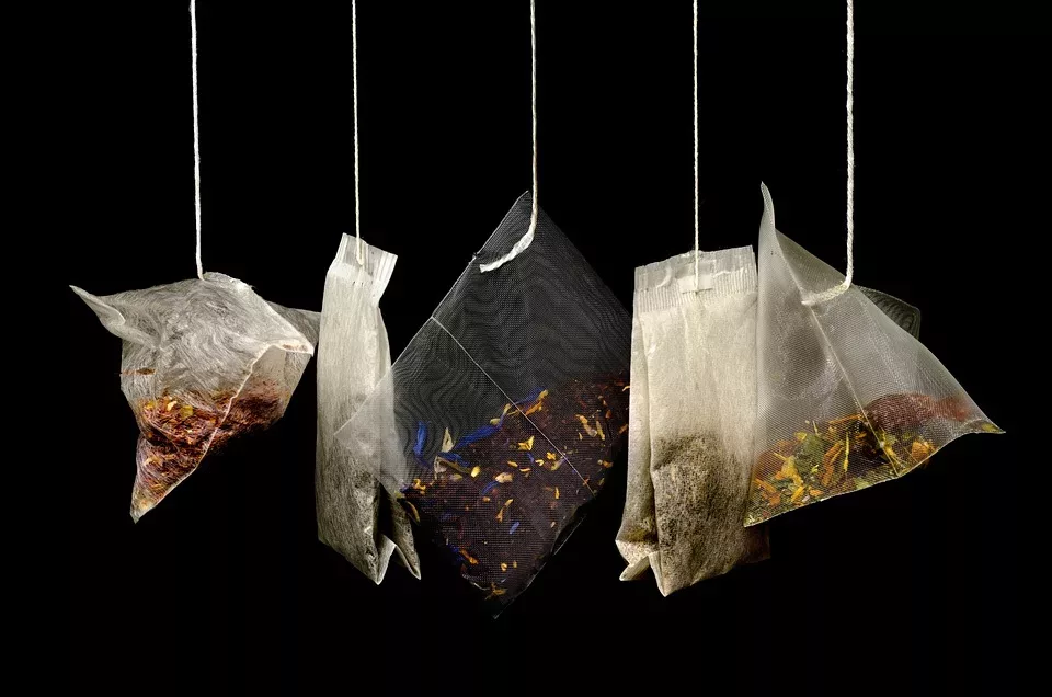 Kräuter für Vogelkrankheiten: Ein Leitfaden