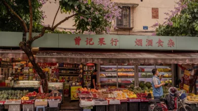 Der Markt für Heilpflanzen