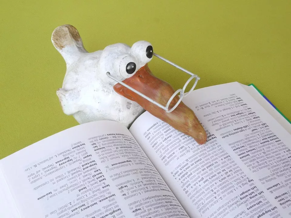 Die Bedeutung der Saison in der Tiergesundheit