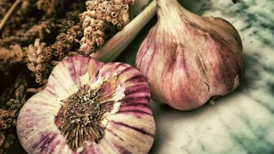 Ernährung und Arbeitsleistung: Der Zusammenhang