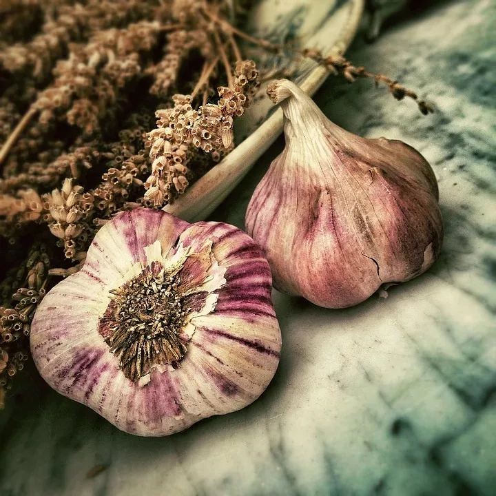Ernährung und Arbeitsleistung: Der Zusammenhang