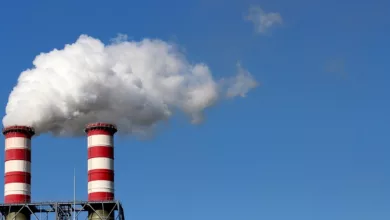 Gemeinschaftsernährung: Wie es funktioniert