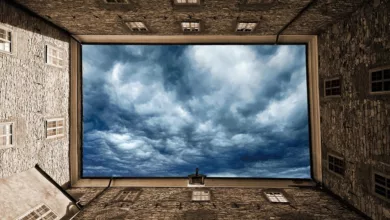 Die Wirkung von Johanniskraut auf Depressionen: Fakten und Studien