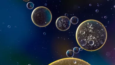 Ölziehen: Welches Öl ist am effektivsten für die Mundgesundheit?