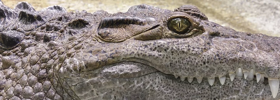 Zähne putzen mit Natron: Vorteile und Anwendung