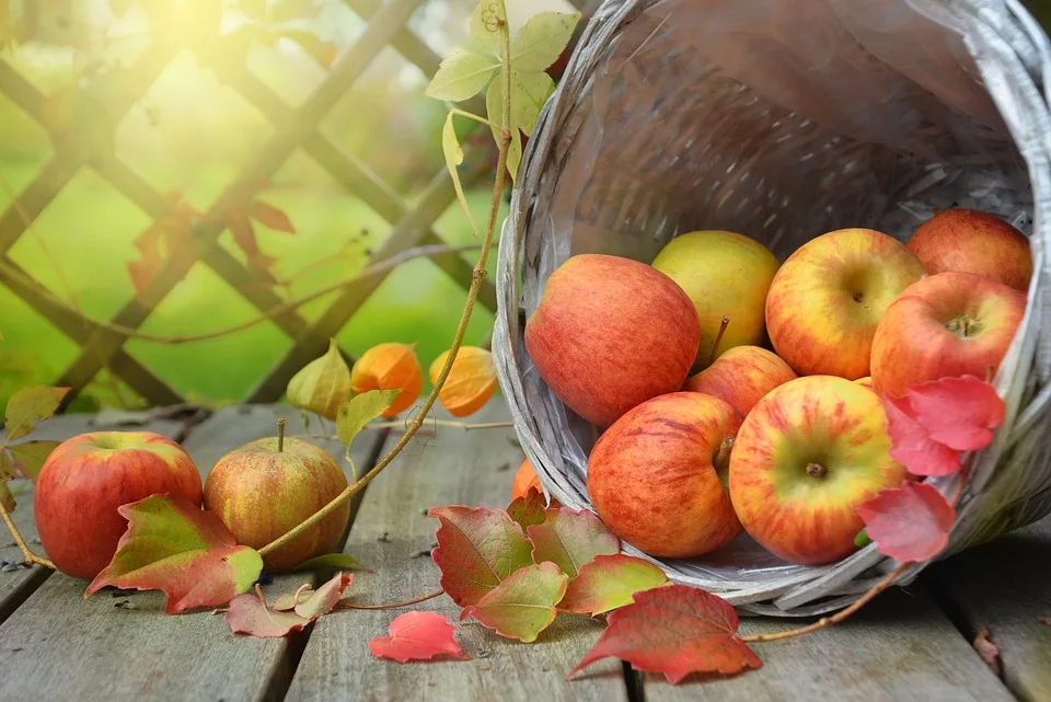 Obst und Gemüse: Konventionell vs. Bio