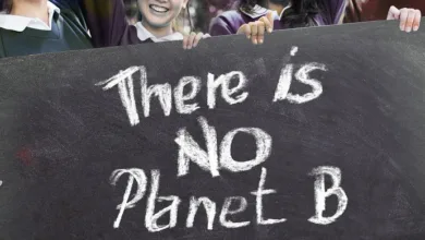 Klimaschutz durch nachhaltige Forstwirtschaft