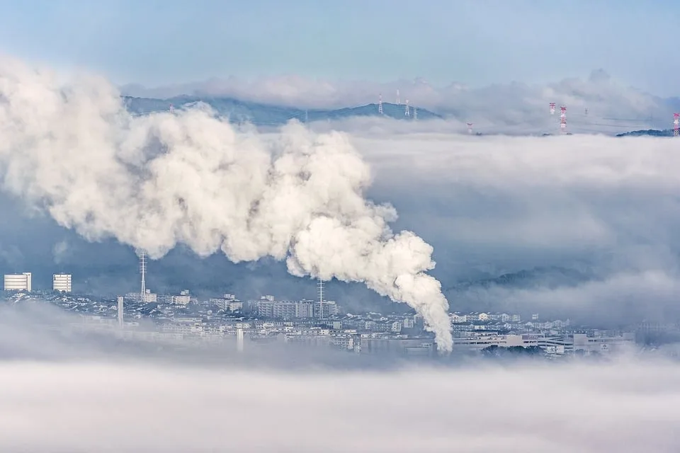 Klimawandel und Meereserwärmung: Die Folgen