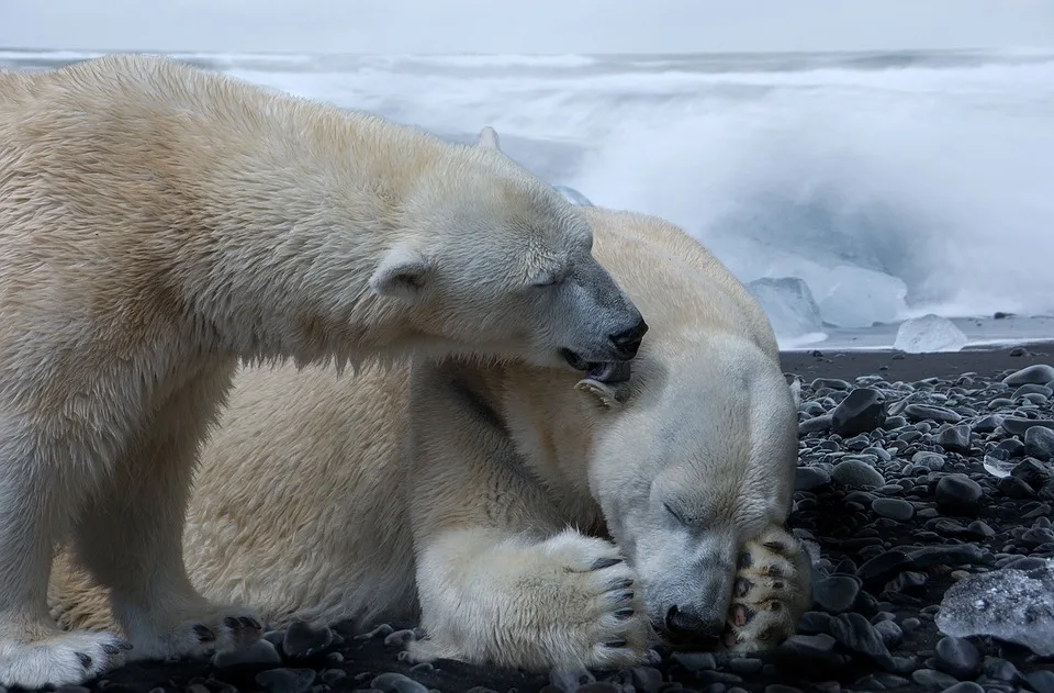 Klimaschutz und Tourismus: Wie passt das zusammen?