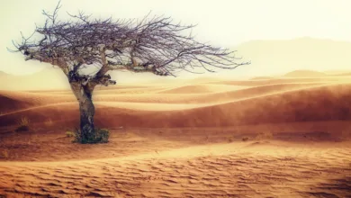 Klimawandel und soziale Ungerechtigkeit