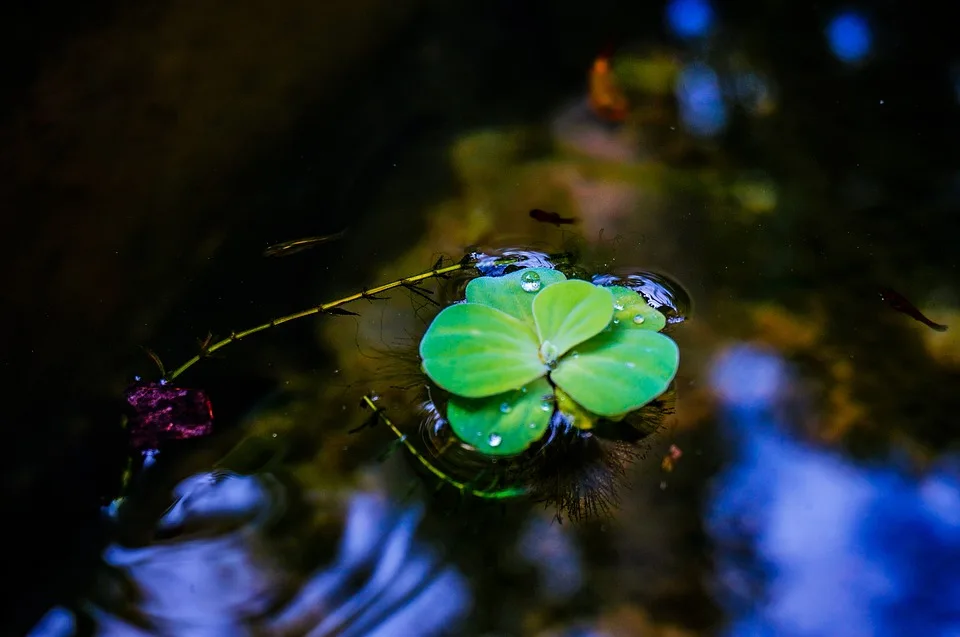 Biodiversität als Stabilitätsfaktor in Ökosystemen