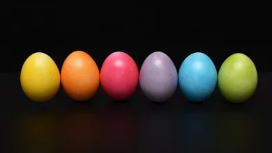 Eier: Nährwerte und ethische Aspekte