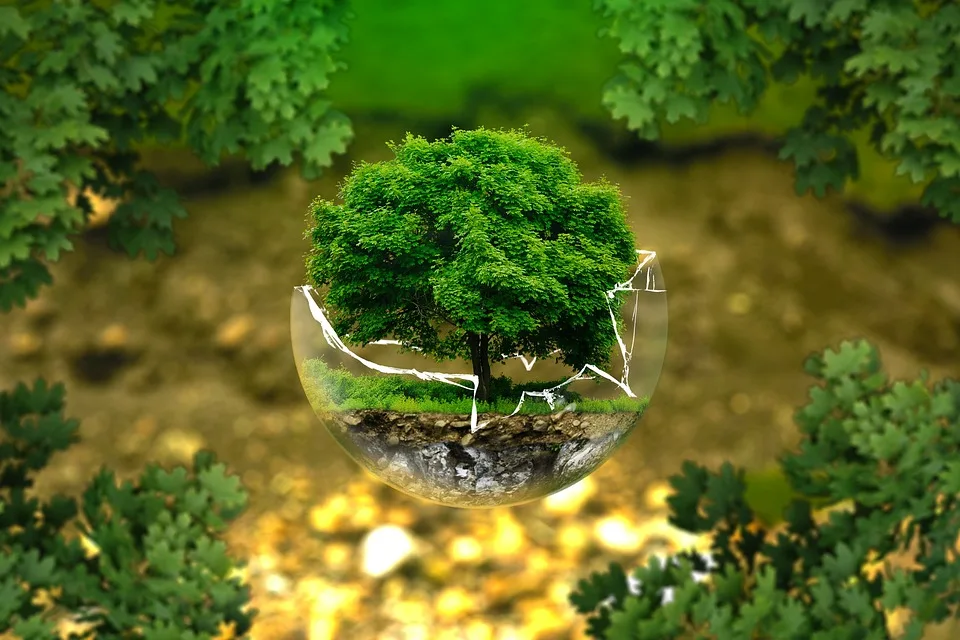 Grüne Finanzen: Investitionen in den Klimaschutz