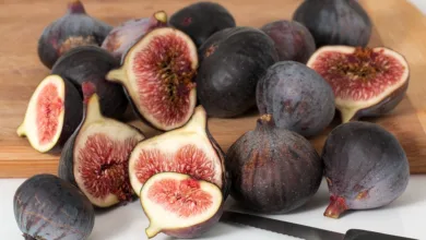 Der Einfluss von Ernährung auf den Schlaf