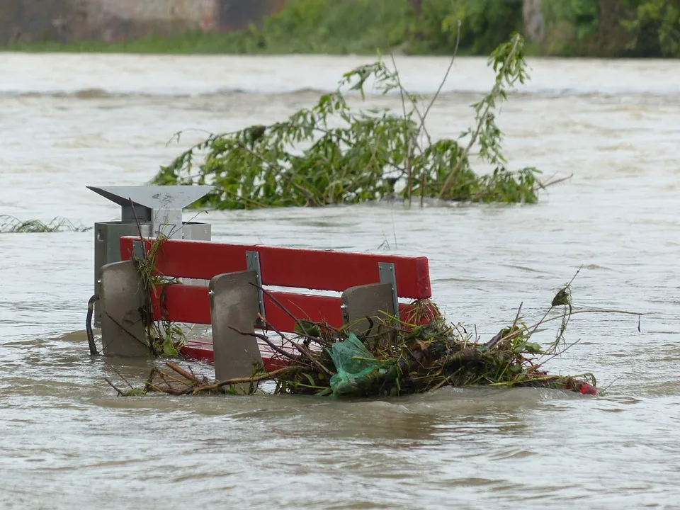Klimaschutz im Alltag: Einfache Tipps
