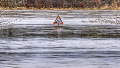 Klimaschutz in Unternehmen: Best Practices