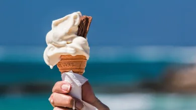 Fermentierte Lebensmittel und Darmgesundheit