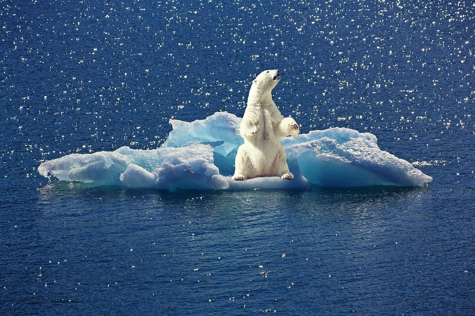 Klimawandel und Artensterben: Ein Zusammenhang