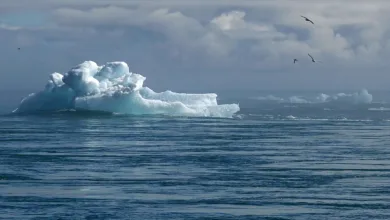 Klimawandel und Extremwetter: Ein Zusammenhang