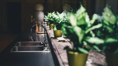 Leitungswasser vs. Mineralwasser