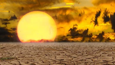 Klimawandel und die Gesundheit von Kindern