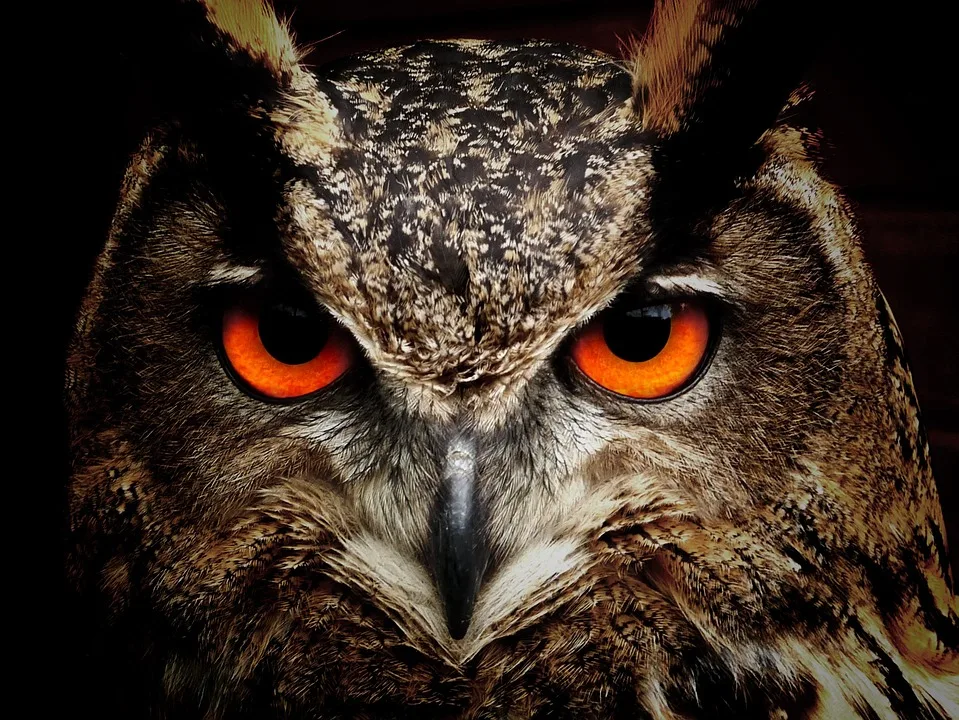 Vögel als Indikatoren für Ökosystemgesundheit
