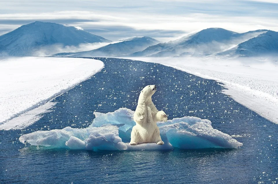 Klimaschutz und die Rolle der Medien