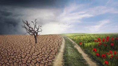 Klimawandel und seine Auswirkungen auf die Wasserversorgung