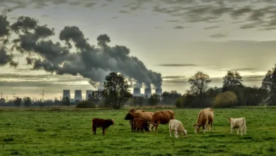 Klimaschutz im Verkehrssektor