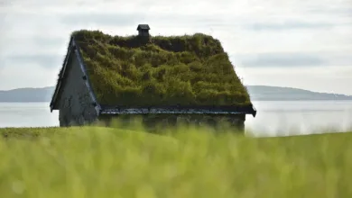 Klimaschutz in der Politik: Eine Bilanz