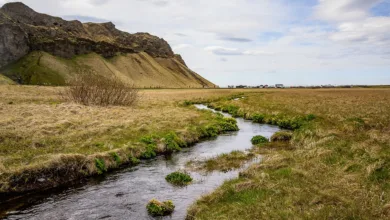 Tundra und Permafrost: Ein kritischer Blick
