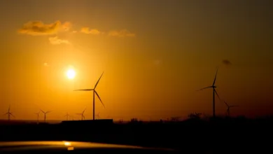 Energieeffizienz im Haushalt