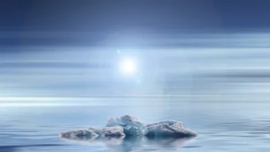 Klimaschutz im Haushalt: Ein Leitfaden