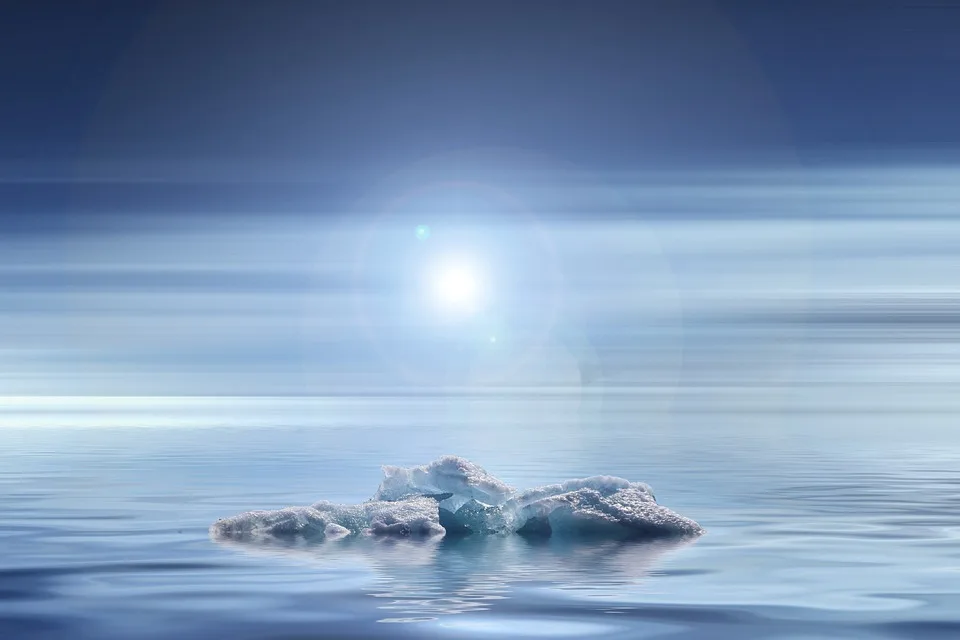 Klimaschutz im Haushalt: Ein Leitfaden