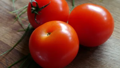 Heimische Früchte und Gemüse: Saisonguide
