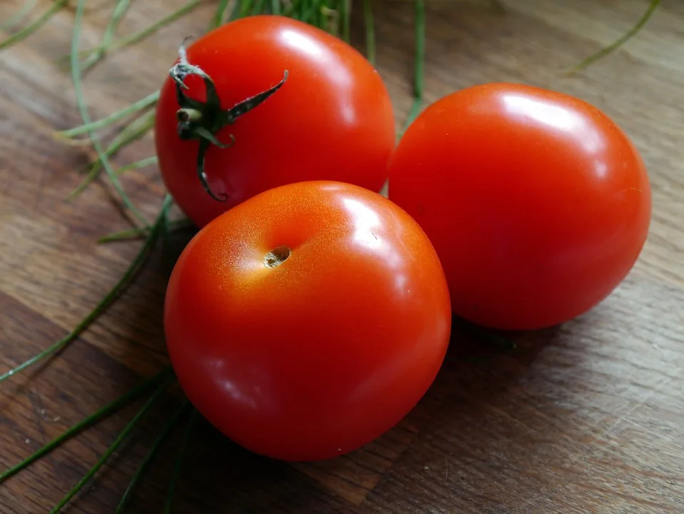 Heimische Früchte und Gemüse: Saisonguide