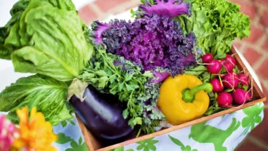 Ernährung in der Schwangerschaft