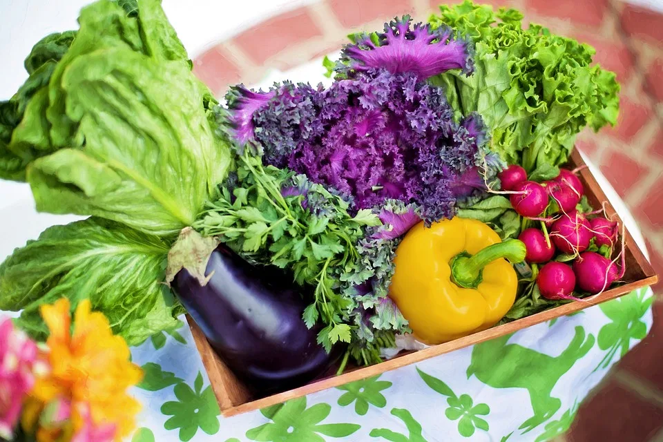 Ernährung in der Schwangerschaft