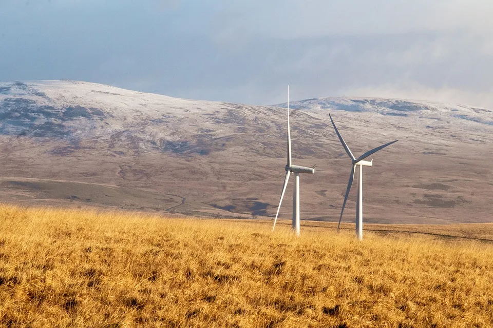 Der Einfluss von Windparks auf Vögel