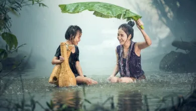 Wasser: Mineralien Filterung und Gesundheit