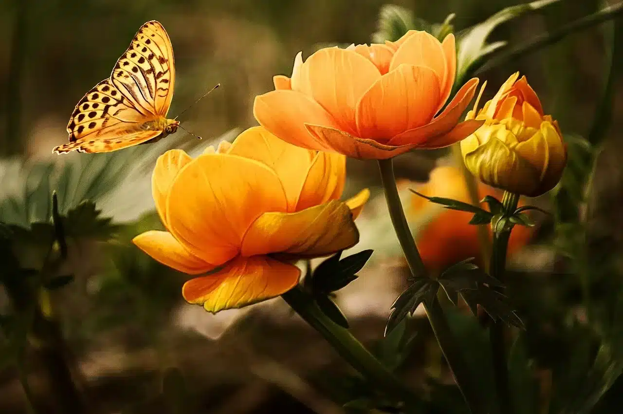 Manuelle Lymphdrainage: Entstauungstherapie erklärt