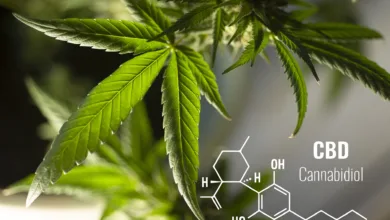 CBD und ganzheitliche Gesundheitspraktiken