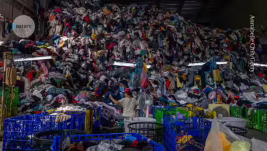‘Chemical recycling’: 15-minute reaction turns old clothes into useful molecules
                  Fast fashion creates millions of tonnes of waste each year — could clever chemistry help to tackle the problem?
                  News | 04 JUL 2024