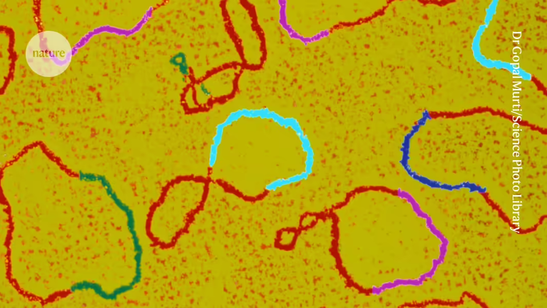 Schwere Fehler plagen DNA-Tool, das ein Arbeitstier der Biologie ist