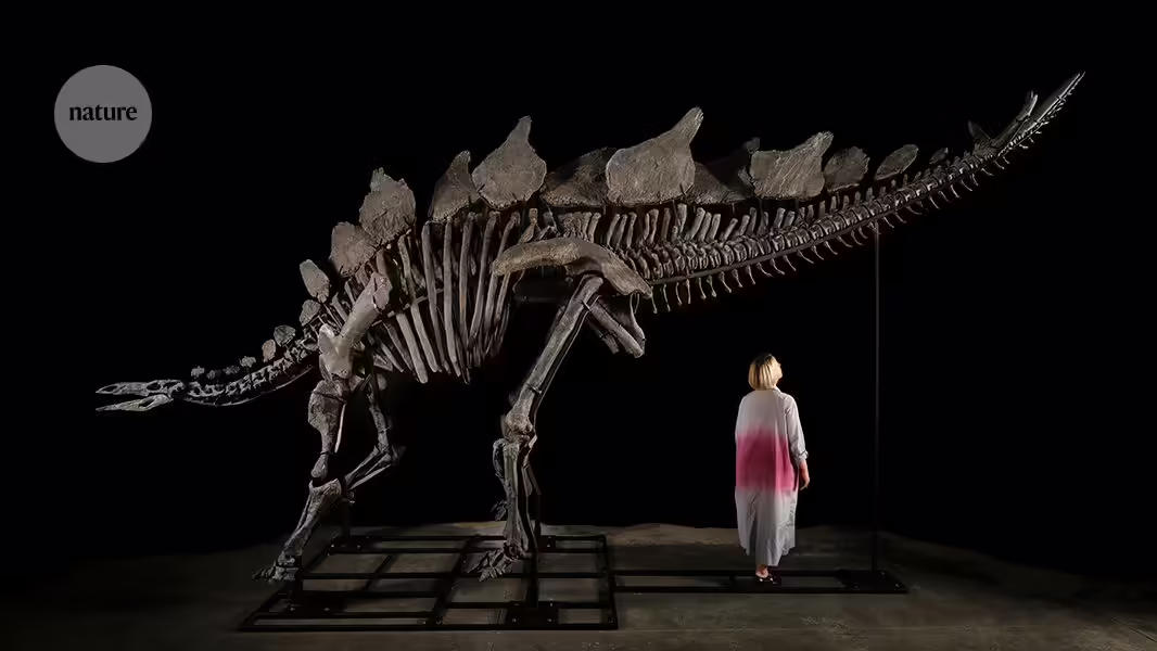 Der teuerste Dinosaurier der Welt und mehr - Die besten Wissenschaftsbilder im Juli