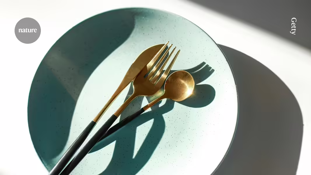 Die überraschende Ursache für die regenerativen Kräfte des Fastens